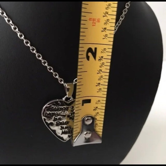 🐾 💔 New Loss of Pet Memorial Necklace - Picture 10 of 10